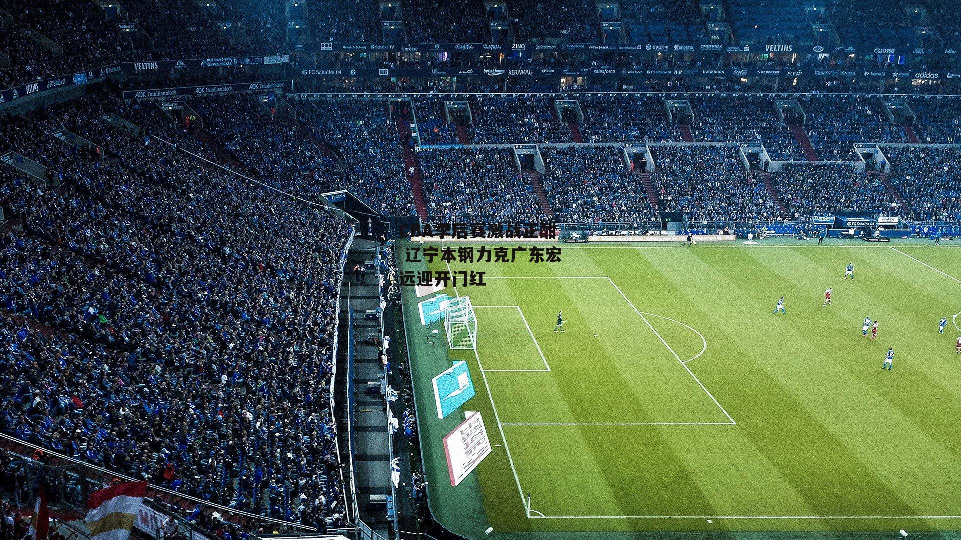 CBA季后赛激战正酣 辽宁本钢力克广东宏远迎开门红