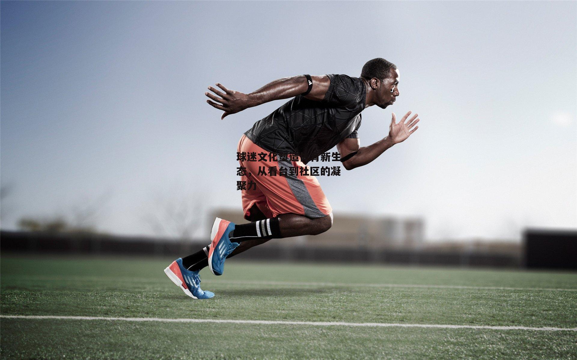 球迷文化塑造体育新生态，从看台到社区的凝聚力